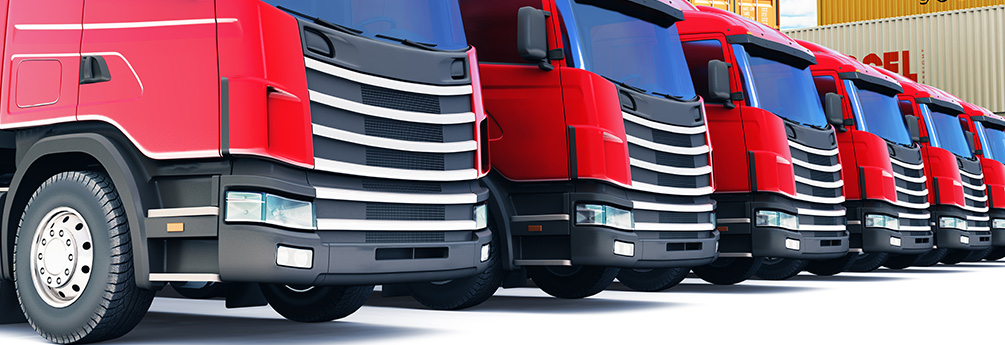 Cargo Transport Company in UAE